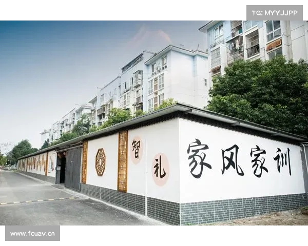 清风领航共建美好社区打造和谐美好生活环境发展路径探析